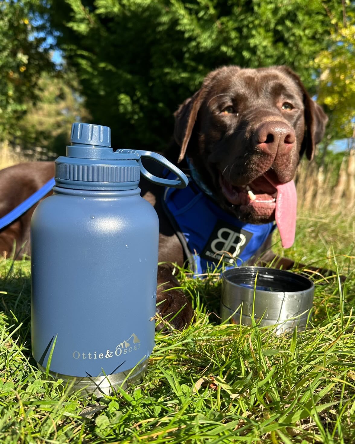 3-in-1 Dog Hydration Bottle & Buddy Bag