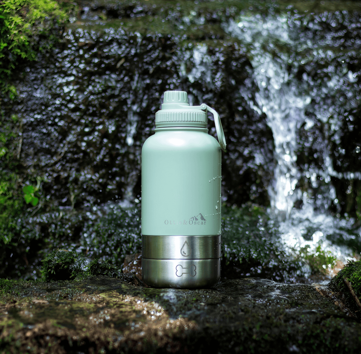 3-in-1 Dog Hydration Bottle & Buddy Bag