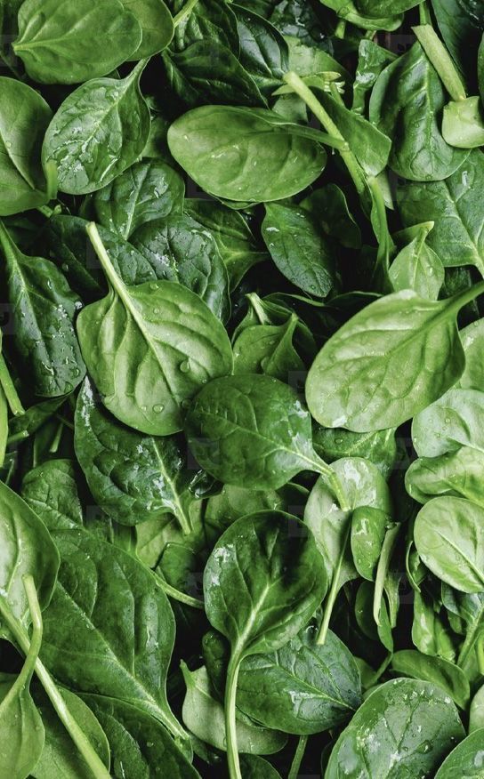 Folic Acid