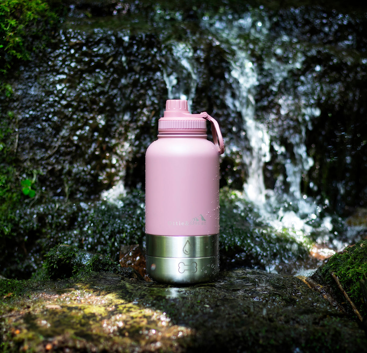 3-in-1 Dog Hydration Bottle & Buddy Bag