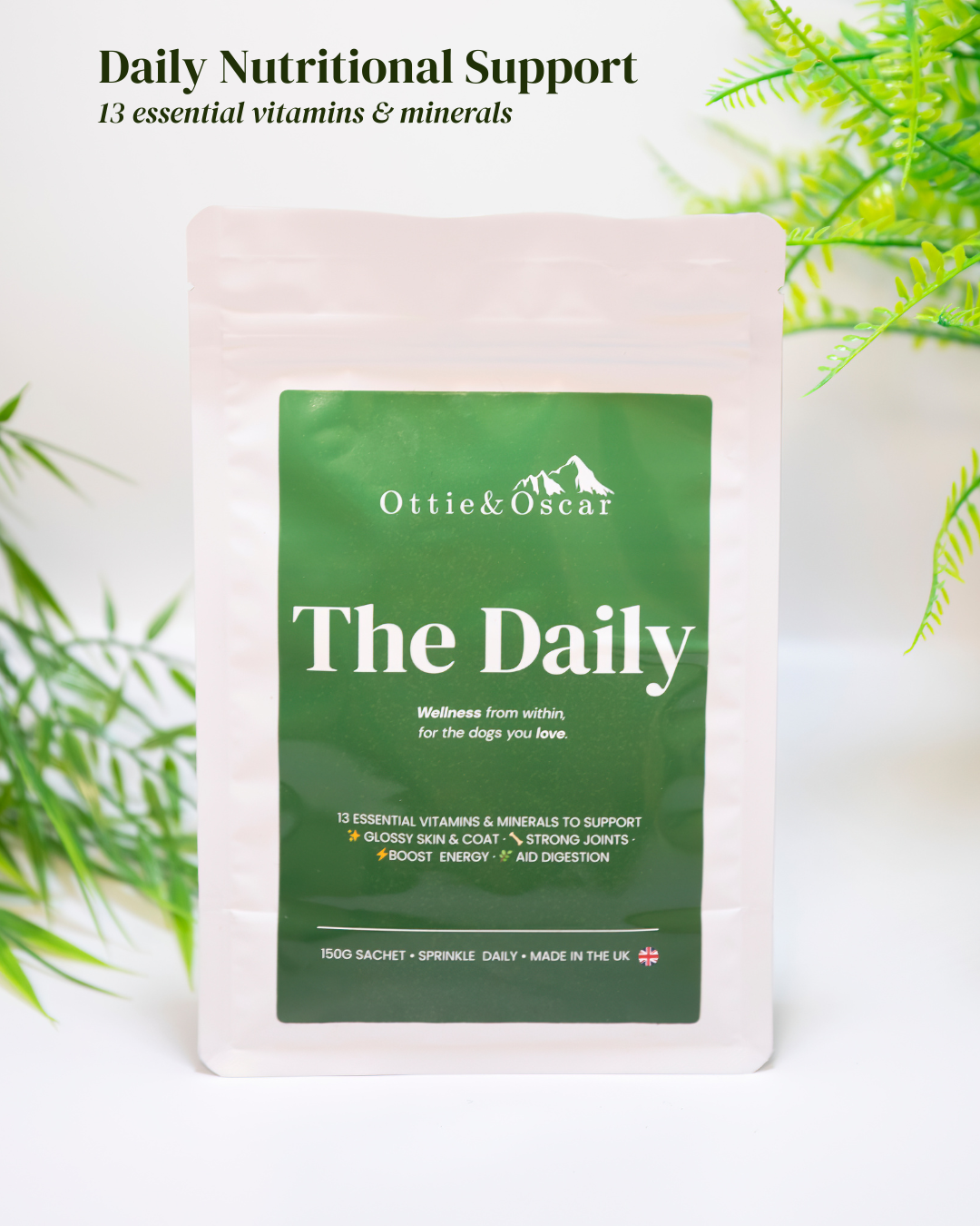 THE DAILY dog multivitamin powder pouch and scoop for daily nutritional support