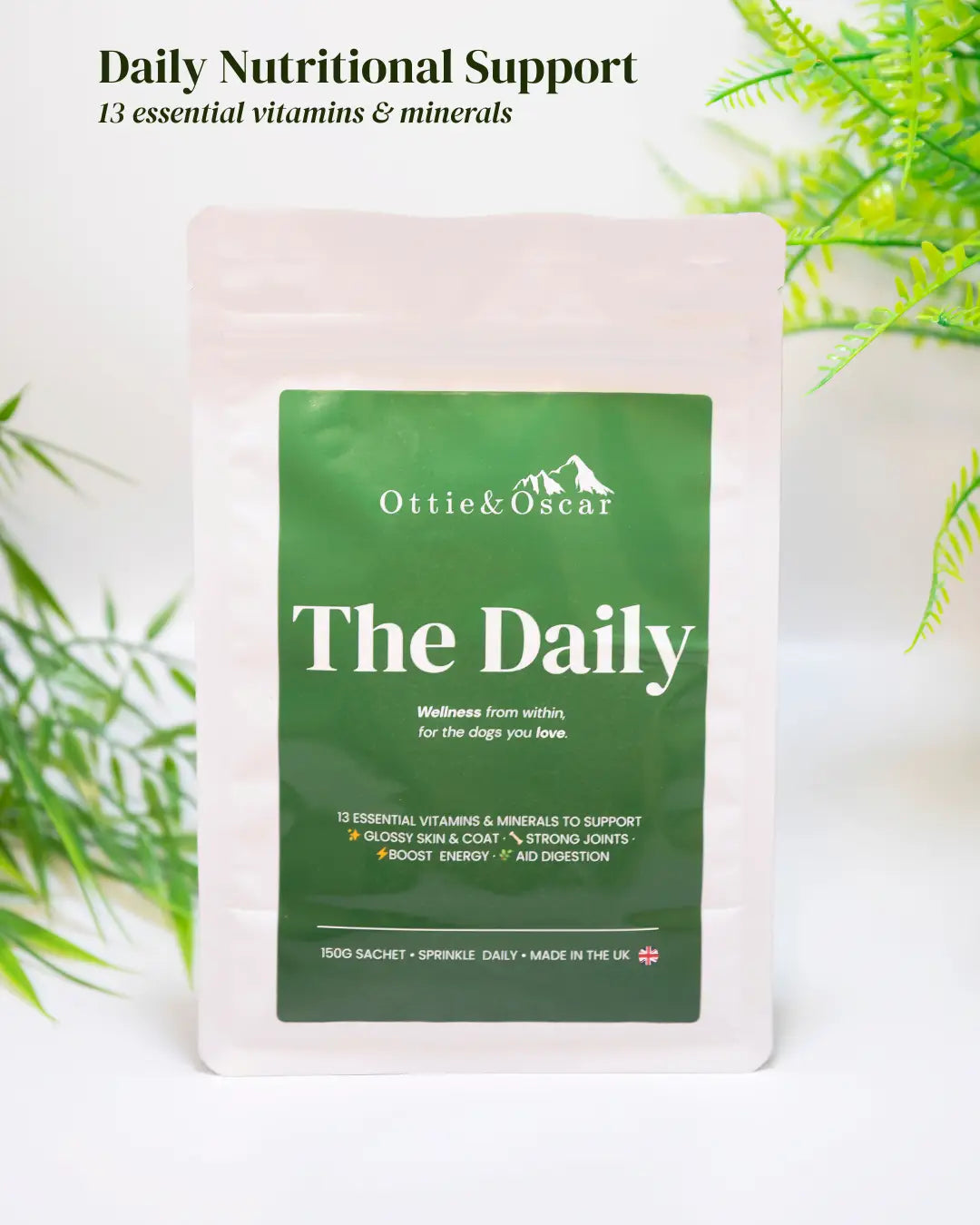 THE DAILY