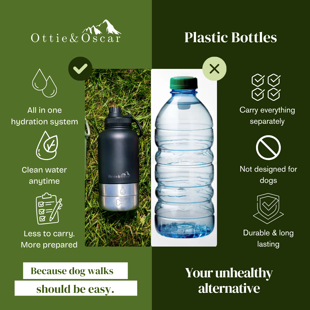 3-in-1 Dog Hydration Bottle & Buddy Bag